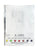 Little NYC Icons Watercolor Painting Kit