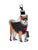 Mini Shiba Inu Bag Charm