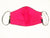 Pink Flower Face Mask with Filter Pocket